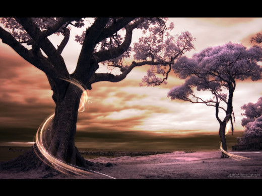 15314 (a): :1600x1200